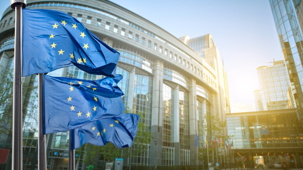 Europarlamentare 2024 | Rezultate parțiale: UDMR și Șoșoacă se luptă pentru a prinde un scaun european