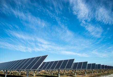 Avem supraproducție de panouri solare. Producătorii chinezi au început să vândă sub prețul pieței