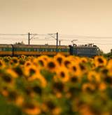 Imagine Articol [FOTO] Vagoane noi pe ”Trenurile soarelui” lansate de CFR. Cum...