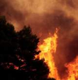 Imagine Articol Statistică: Canicula excesivă a triplat numărul incendiilor de...