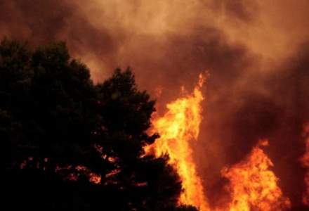 Statistică: Canicula excesivă a triplat numărul incendiilor de vegetație în iunie