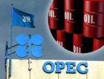 OPEC reduce din nou estimarea...