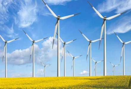 Productia de energie eoliana se afla pe primul loc in topul resurselor care genereaza electricitate la nivel national