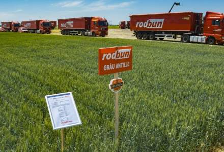 Povestea romanilor care au fondat Rodbun, compania care se bate cu multinationalele pe segmentul solutiilor pentru fermieri