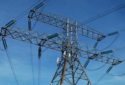 Bulgaria revoca licenta CEZ de operare a retelei de electricitate