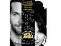 Silver Linings Playbook a...