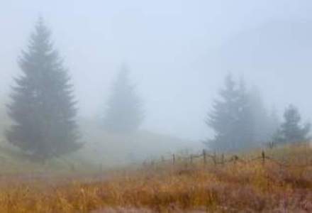 Cod galben de ceata in Bucuresti si noua judete din sud-estul tarii