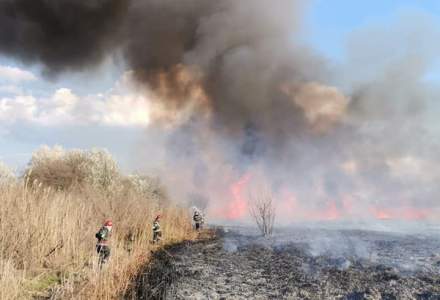Cinci hectare de stuf au ars într-un sat din Tulcea