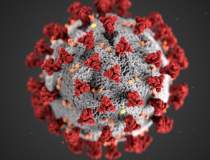 UPDATE Coronavirus 30 MAI |...