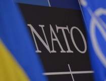 Numarul sustinatorilor NATO...