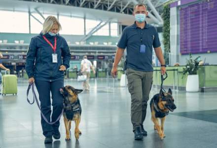 Bode va introduce câini care depistează COVID pe mai multe aeroporturi din țară