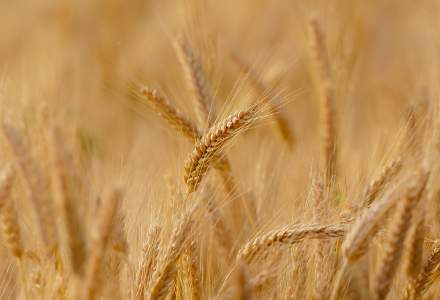 Acord pentru coridorul cerealelor între Rusia și Ucraina? Ucraina: Nu semnăm nimic cu Rusia