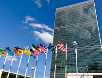 ONU: Apărarea drepturilor...