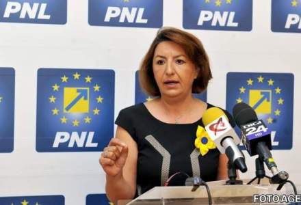 Sulfina Barbu: Dragnea l-a scos pe Ponta la incalzire pentru a fi premier in toamna; Iohannis le sta in cale