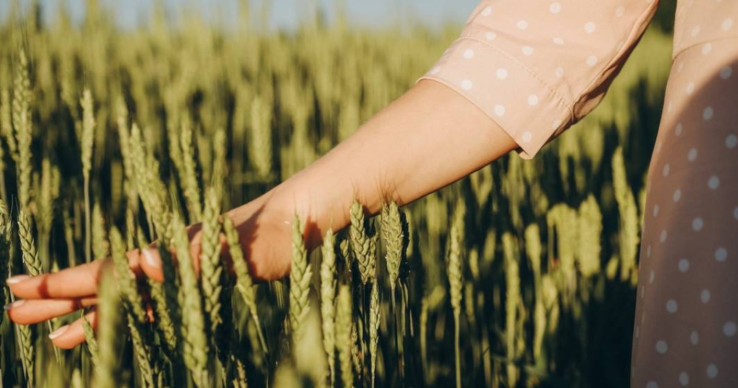 Imagine pentru articolul: Cum crești randamentul culturii de cereale păioase – 4 aspecte-cheie de care să ții cont