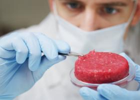 Imagine: Două companii americane au primit aprobare să vândă carne cultivată în laborator
