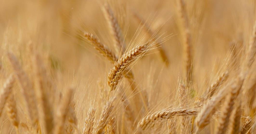Imagine pentru articolul: Ucraina a anunțat că va începe să exporte cereale pe mare săptămâna aceasta