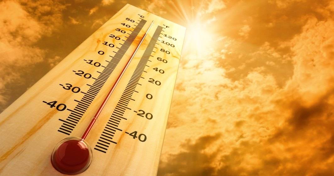 Imagine pentru articolul: STUDIU: 2020 ar putea fi cel mai cald an înregistrat vreodată