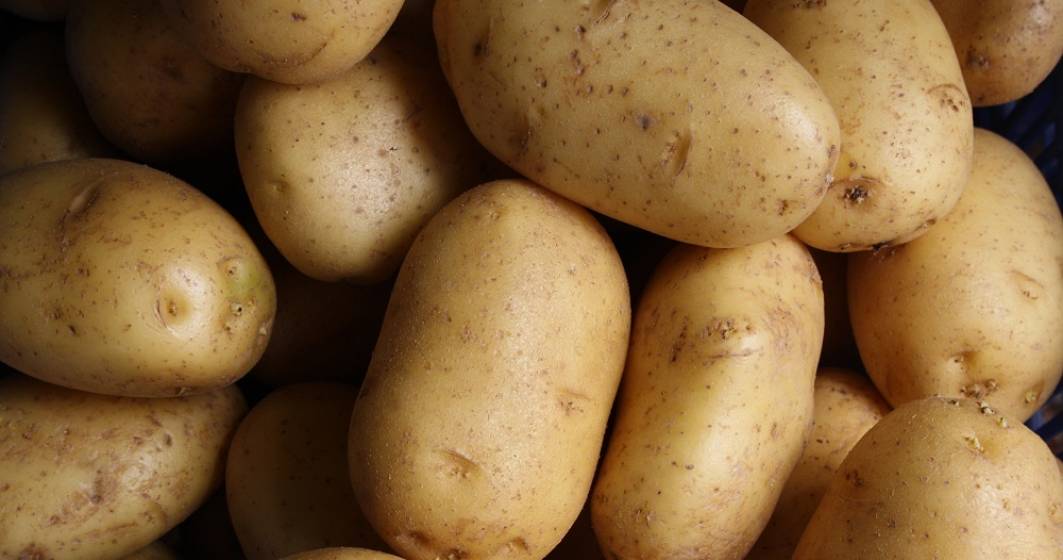 Imagine pentru articolul: Cheltuim 64 mil. euro pentru cartofi ce ar putea fi produși în țară
