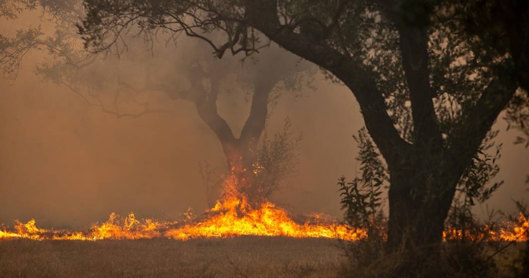 Imagine pentru articolul: Un român a fost arestat în Grecia: e acuzat că a provocat un incendiu