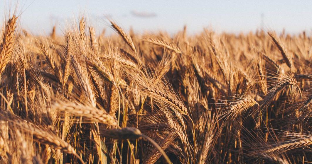 Imagine pentru articolul: PSD va cere în coaliția de guvernare suspendarea importurilor de cereale din Ucraina