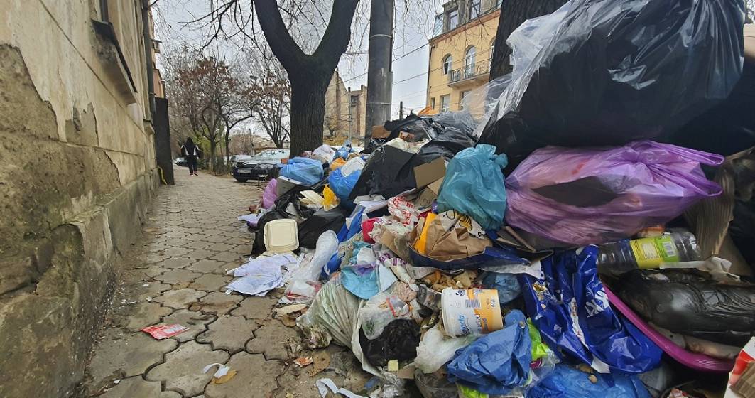 Imagine pentru articolul: Capitala, groapa de gunoi a țării? Primarii dau din umeri, nu au încă soluții pentru depozitarea deșeurilor