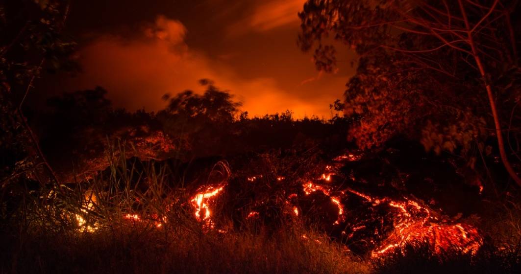 Imagine pentru articolul: Incendii de vegetație devastatoare în Hawaii. Oamenii se aruncă în ocean pentru a scăpa de flăcări