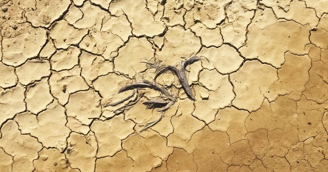 Imagine pentru articolul: Risc de secetă pe aproape jumătate din suprafața UE. România, printre țările cele mai afectate