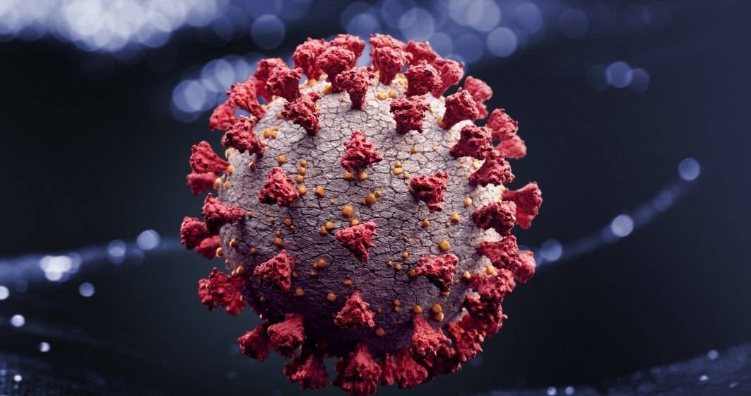 Imagine pentru articolul: Coronavirus | Update 25 iunie: Cifrele raportate în ultimele 24 de ore