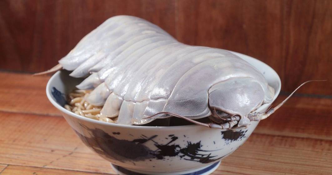 Imagine pentru articolul: Un restaurant taiwanez le oferă clienţilor tăiţei cu carne de izopode gigantice