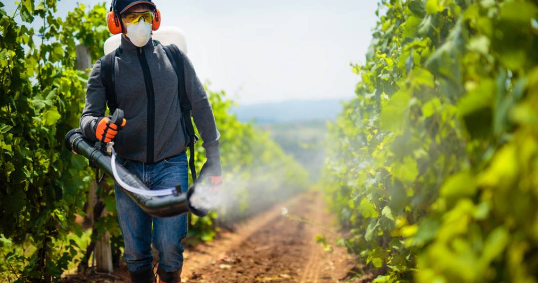 Imagine pentru articolul: România, poartă de intrare în UE a pesticidelor ilegale din China?