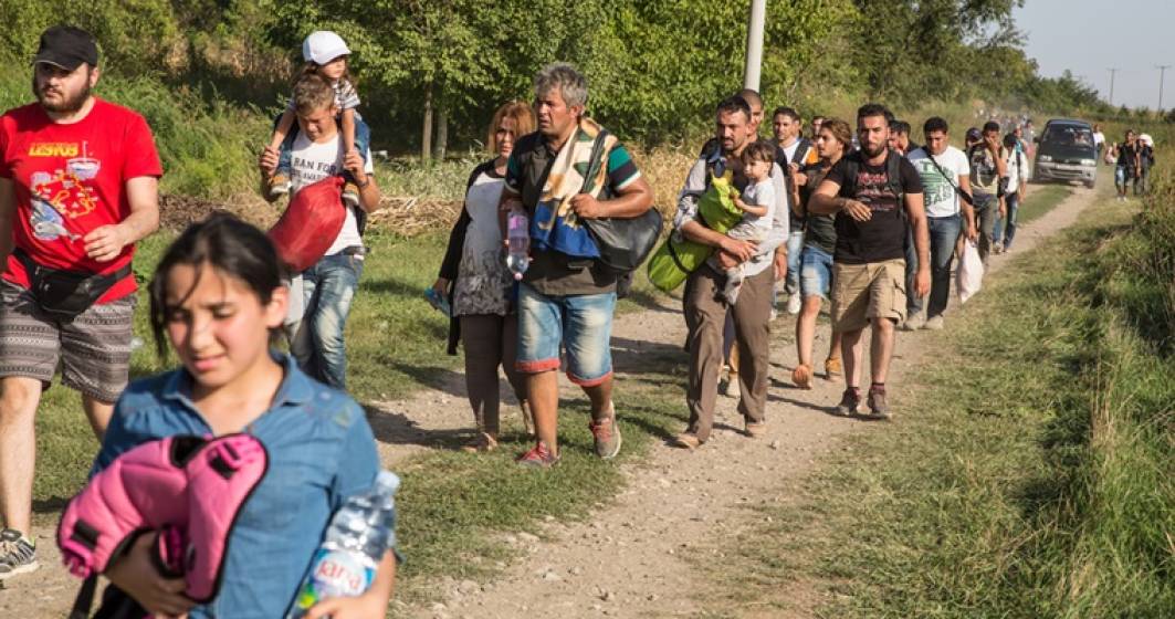 Imagine pentru articolul: Arad: Douazeci de migranti afroasiatici, prinsi incercand sa treaca granita spre Ungaria prin camp