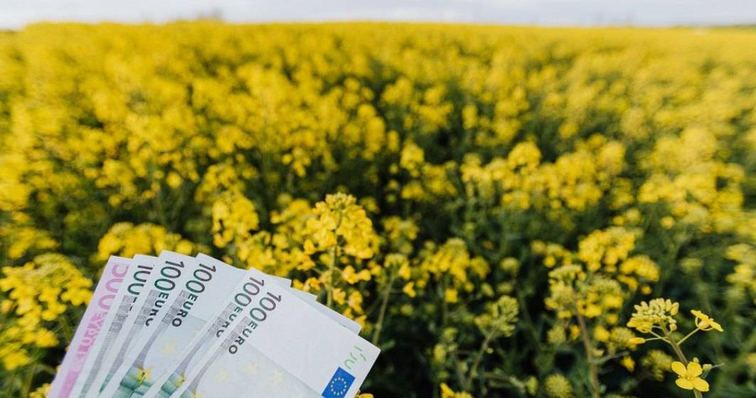 Imagine pentru articolul: Despăgubirea Guvernului de 100 de euro la hectar ca urmare a pierderilor cauzate de războiul din Ucraina, insuficientă pentru fermieri
