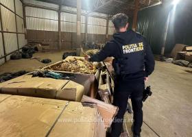 Imagine: Poliția de Frontieră a descoperit o rețea ilegală de fabrici de țigări, care...