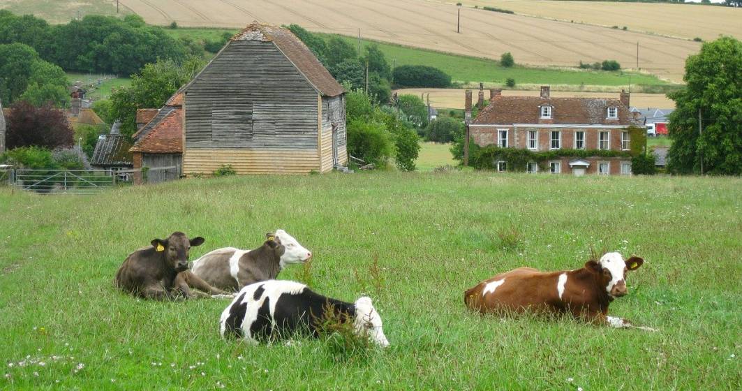 Imagine pentru articolul: Focar de coronavirus la o fermă din Marea Britanie: 28 de români testați pozitiv