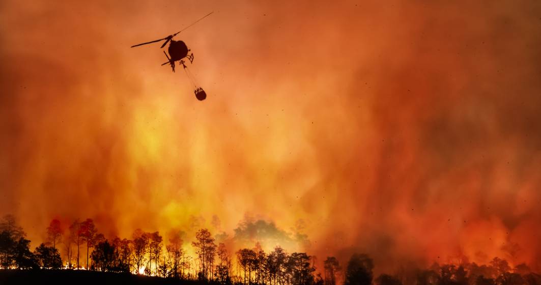 Imagine pentru articolul: Italia, în luptă cu o caniculă record de 49 de grade Celsius și cu peste 500 de incendii