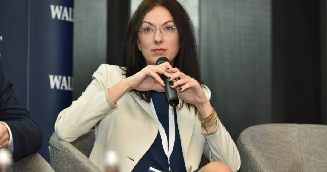 Imagine pentru articolul: Ioana Borza, Farmec: Legile ar trebui date dupa consultari cu parteneri din mediul privat