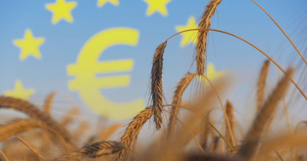 Imagine pentru articolul: Grânarul lumii: Uniunea Europeană va deveni cel mai mare producător de grâu din lume până în 2032