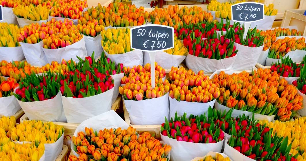 Imagine pentru articolul: Exporturile de flori din Olanda se prăbuşesc, din cauza crizei Covid-19