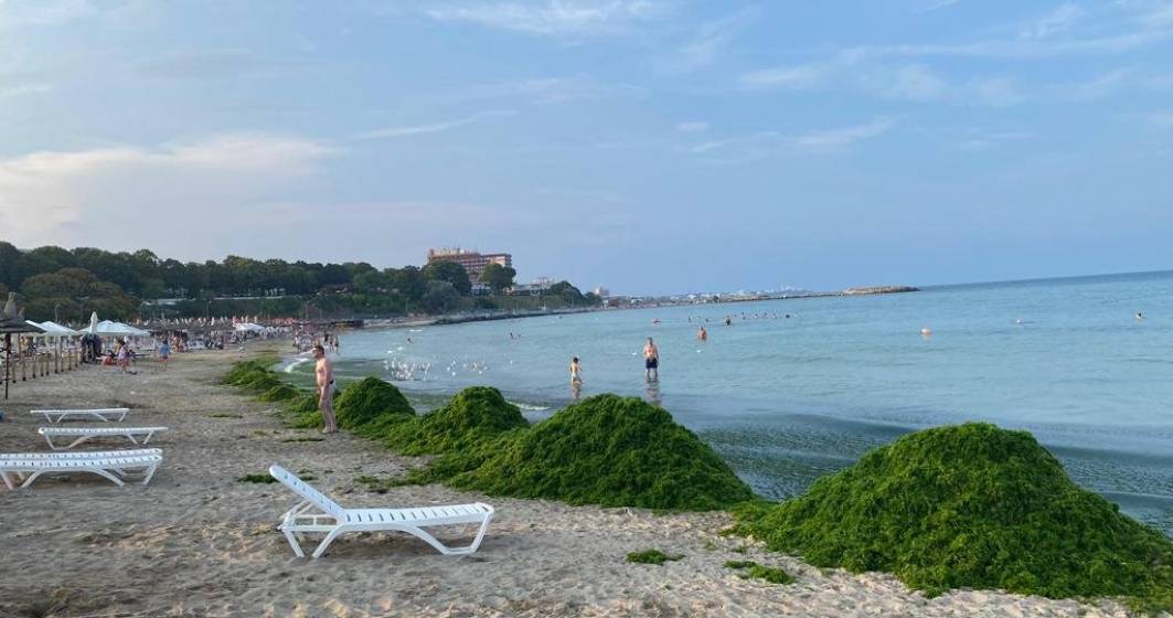 Imagine pentru articolul: Munți de alge pe litoral: Apele Române au adunat aproape 3.000 de tone în minivacanța de Sfânta Maria