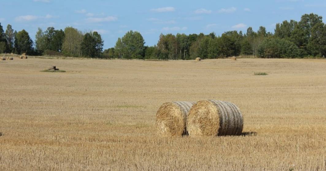 Imagine pentru articolul: Cat pierd agricultorii din Romania din cauza secetei din acest an