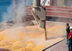 Imagine: Fermierii din Olt cer oprirea importului de cereale din Ucraina