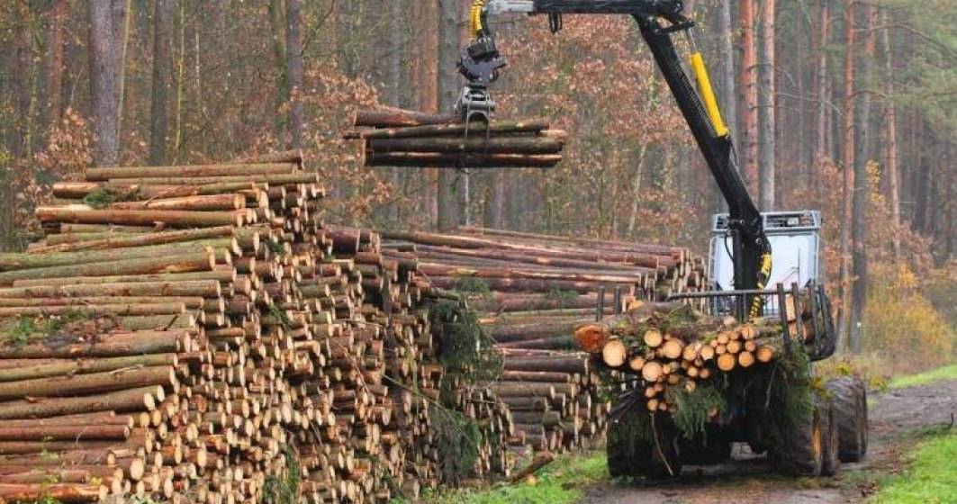 Imagine pentru articolul: Legea care interzice pe 10 ani exportul de lemn în afară UE, promulgată