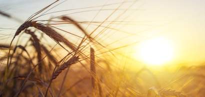 "Din agricultura nu pierzi". Holde Agri Invest - Pariul pe ferme al unor...