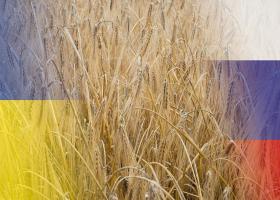 Imagine: Moscova ar reveni în acordul cerealelor. Dar vrea eliminarea restricţiilor...