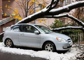 Imagine: Copaci căzuţi şi autoturisme avariate în Bucureşti și Giurgiu din cauza...