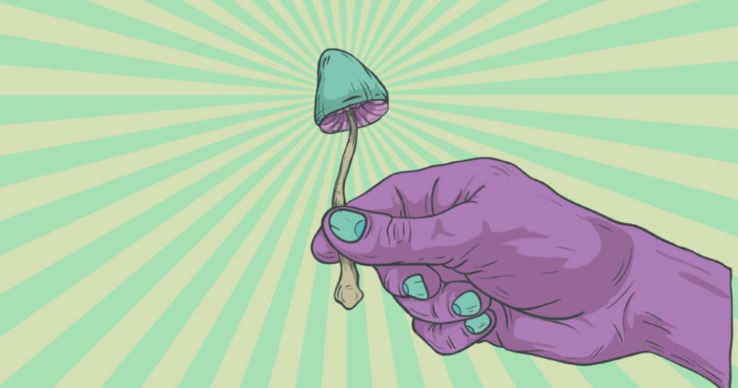 Imagine pentru articolul: Ciupercile halucinogene ar putea fi mai bune decât antidepresivele obișnuite