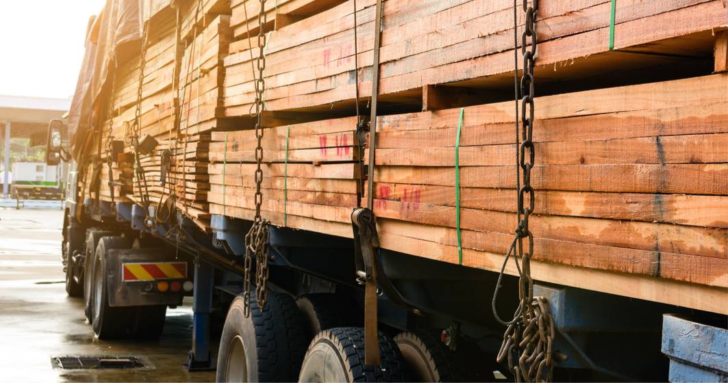Imagine pentru articolul: Ministrul Mediului se va folosi de AI pentru a verifica transporturile de lemn din România