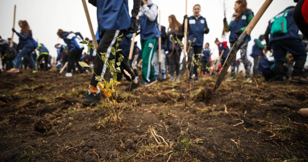 Imagine pentru articolul: Campanie inedita a unei facultati din Cluj: Iei 10 la sesiune, planteaza un copac