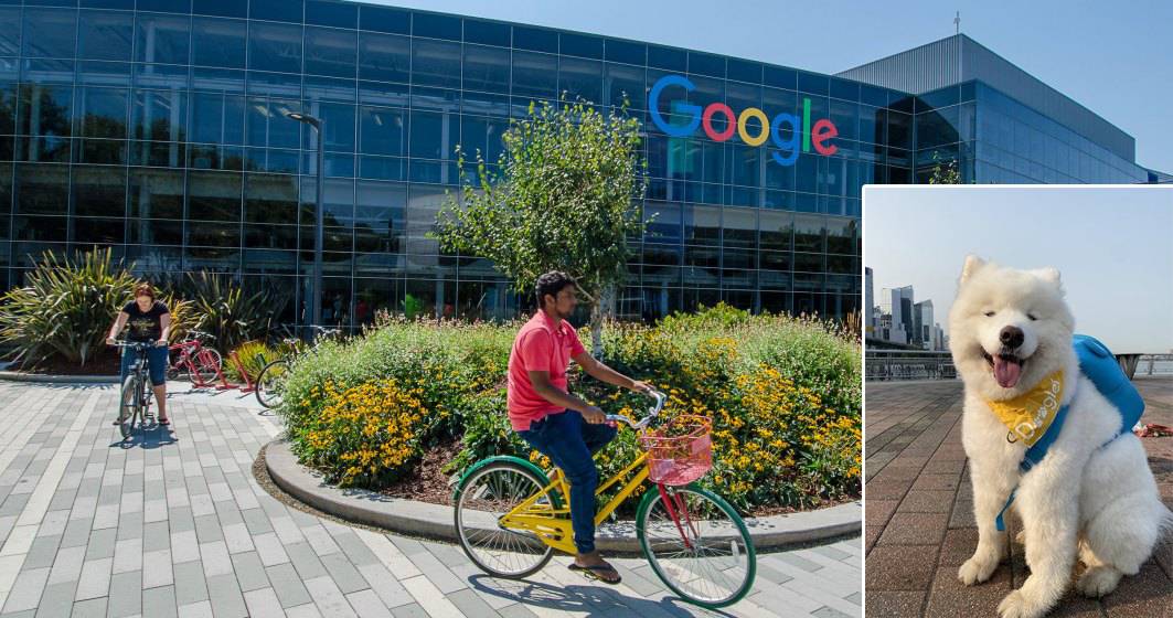 Imagine pentru articolul: Google își recheamă angajații la birou, inclusiv pe cei nevaccinați, după un an de lucru de acasă